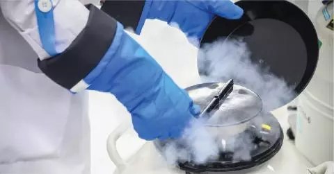  What Is Egg Freezing and Who Should Consider Preserving It?
