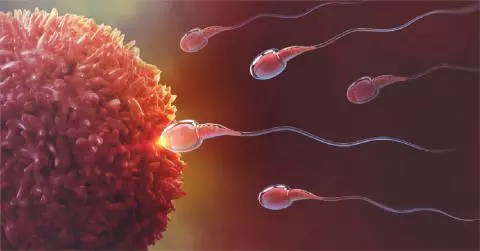  Male Infertility: More Common Than You Think