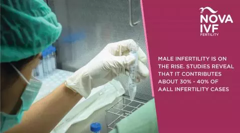  Embryologist’s Role in Infertility Treatment: What to Expect