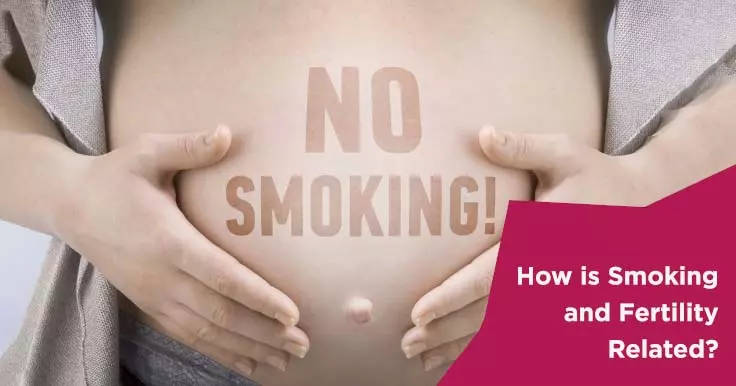  How Does Smoking Affect Fertility? Effects and Risks Explained