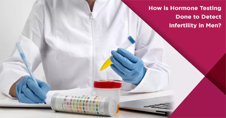  Hormone Testing for Male Infertility: Key Hormones That Affect Fertility