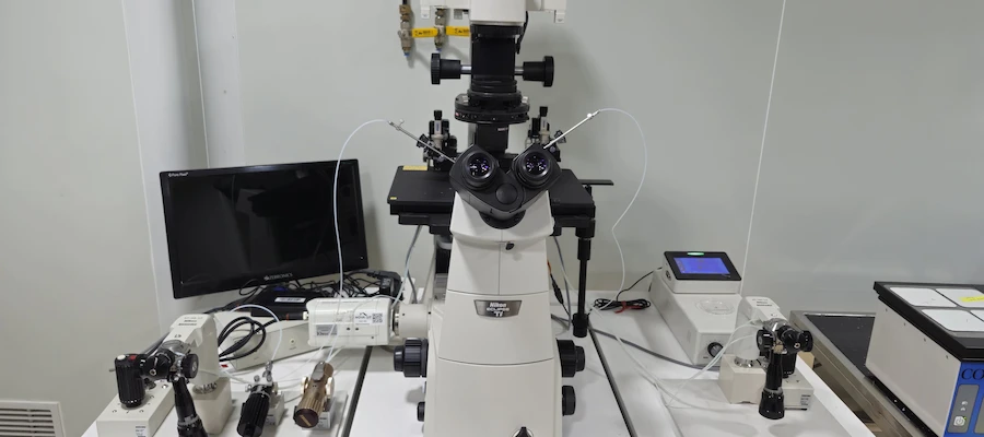 Ranchi-ivf-19
