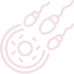 Intrauterine Insemination (IUI)