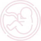 Embryology